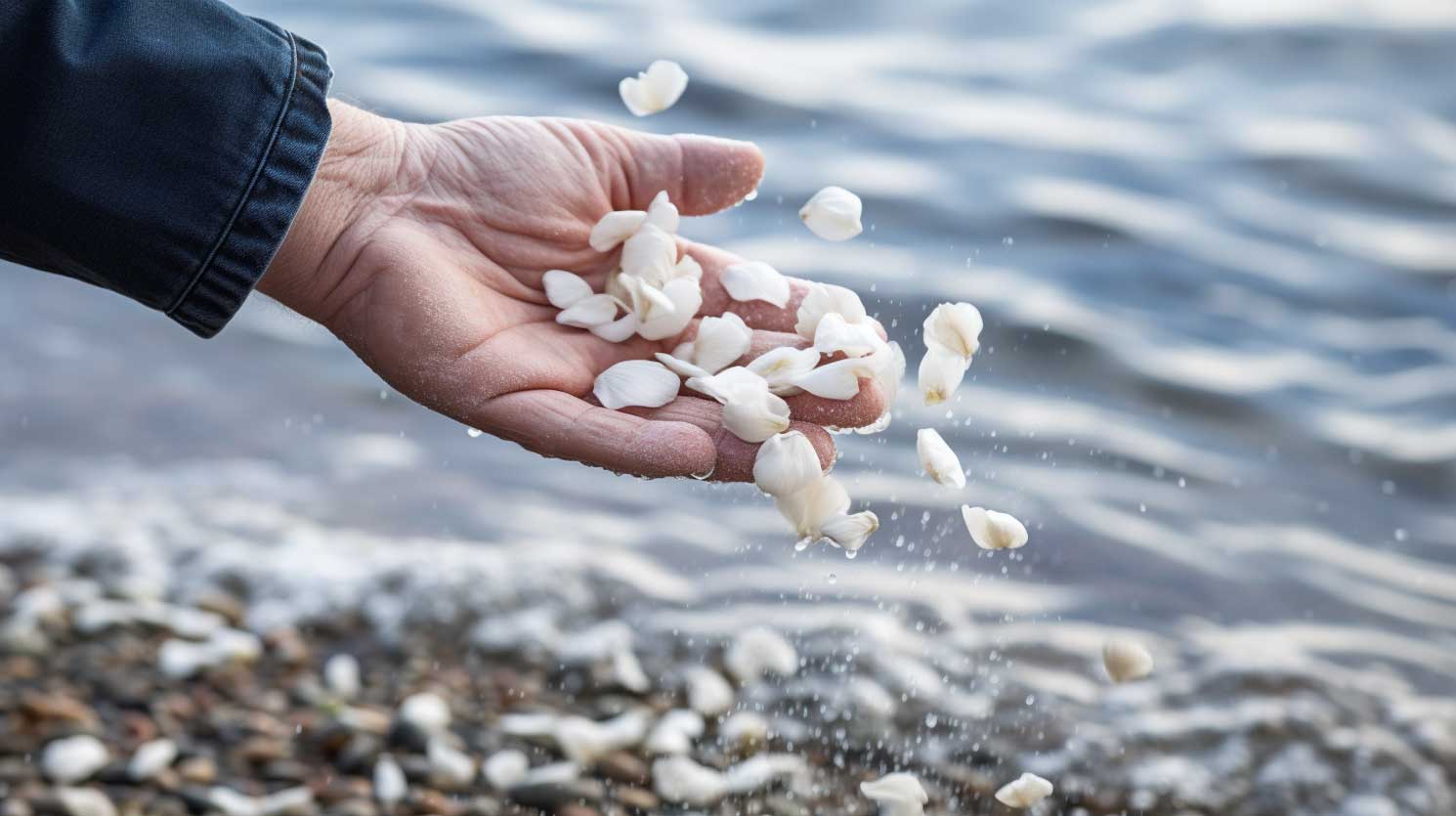 Seebestattung Heiligendamm