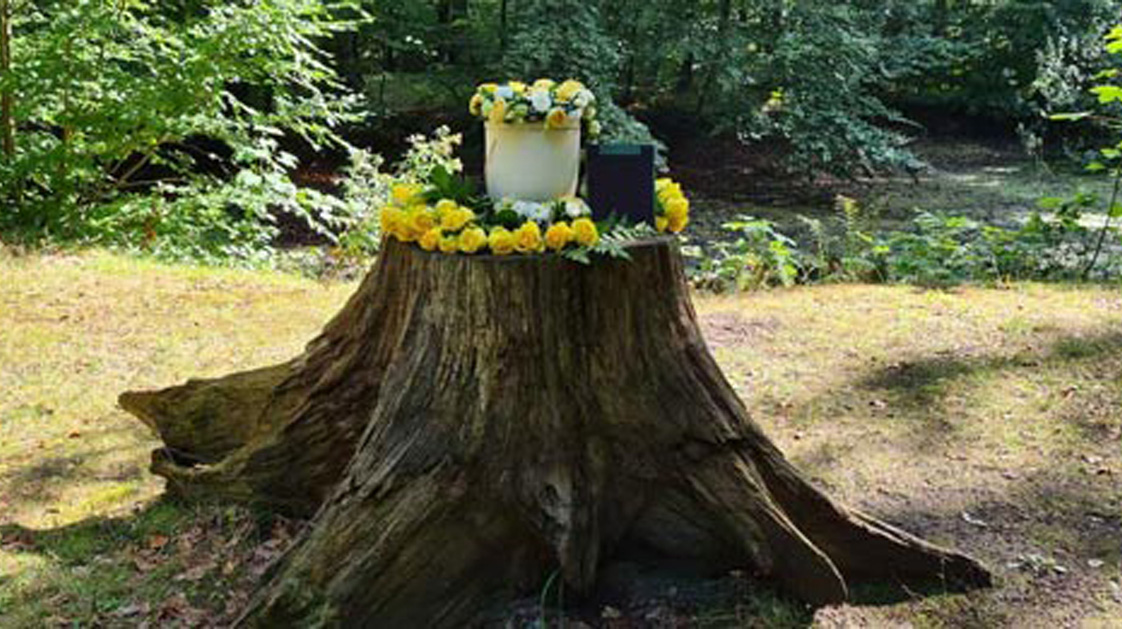 Bestattungen im Ruheforst