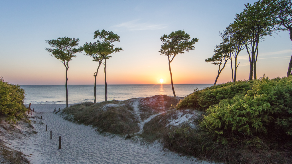 Würdevolle Seebestattungen vor Ahrenshoop